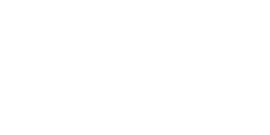 siemnes