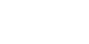 sulzer
